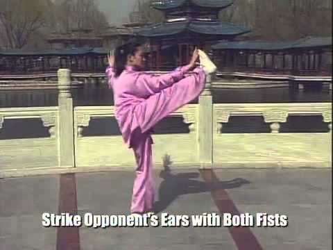 Tai Chi 24 form moves in Chinese, Pinyin, English & 4 other languages