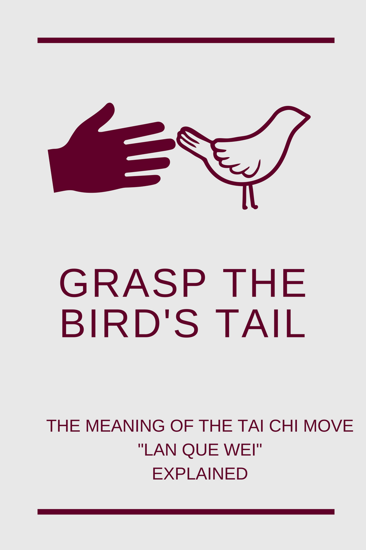 grasp the birds tail explained (tai chi move "lan que wei")