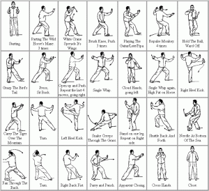 Tai Chi 24 form moves in easy pictures with English names (source unknown)