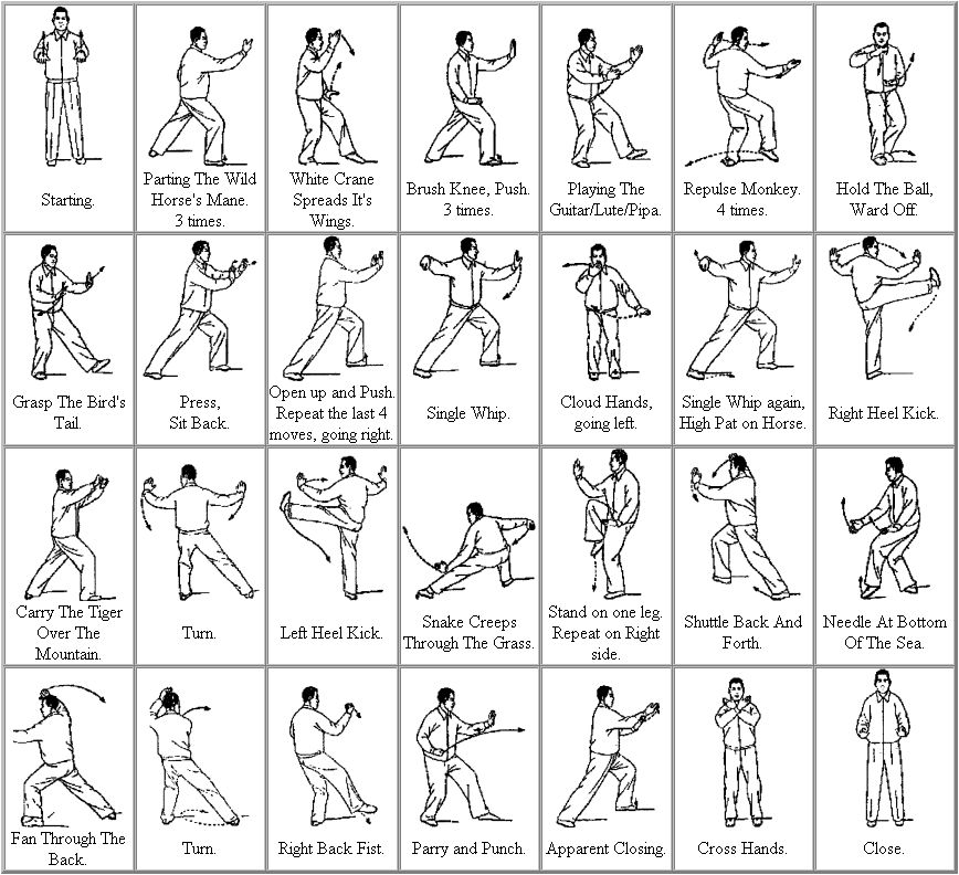 Illustration of five tai chi movements. (A) Brush Knee and Twist