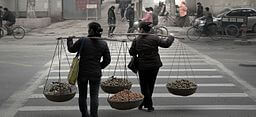 women_are_carrying_basket_of_fruit