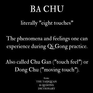Qi sensations (Ba Chu / Eight Touches) definition