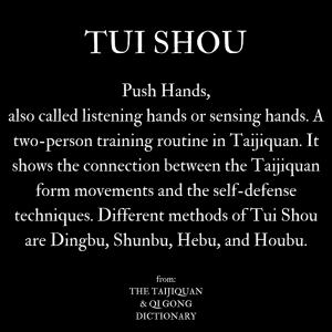 what is Pushing Hands / Tui Shou in Taijiquan