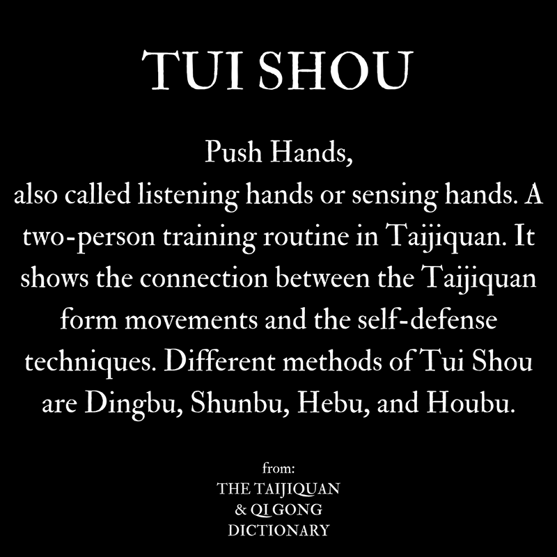 what is Push Hands / Tui Shou in Taijiquan