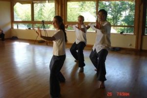 Sophie NIchanian - a Tai Chi woman from France