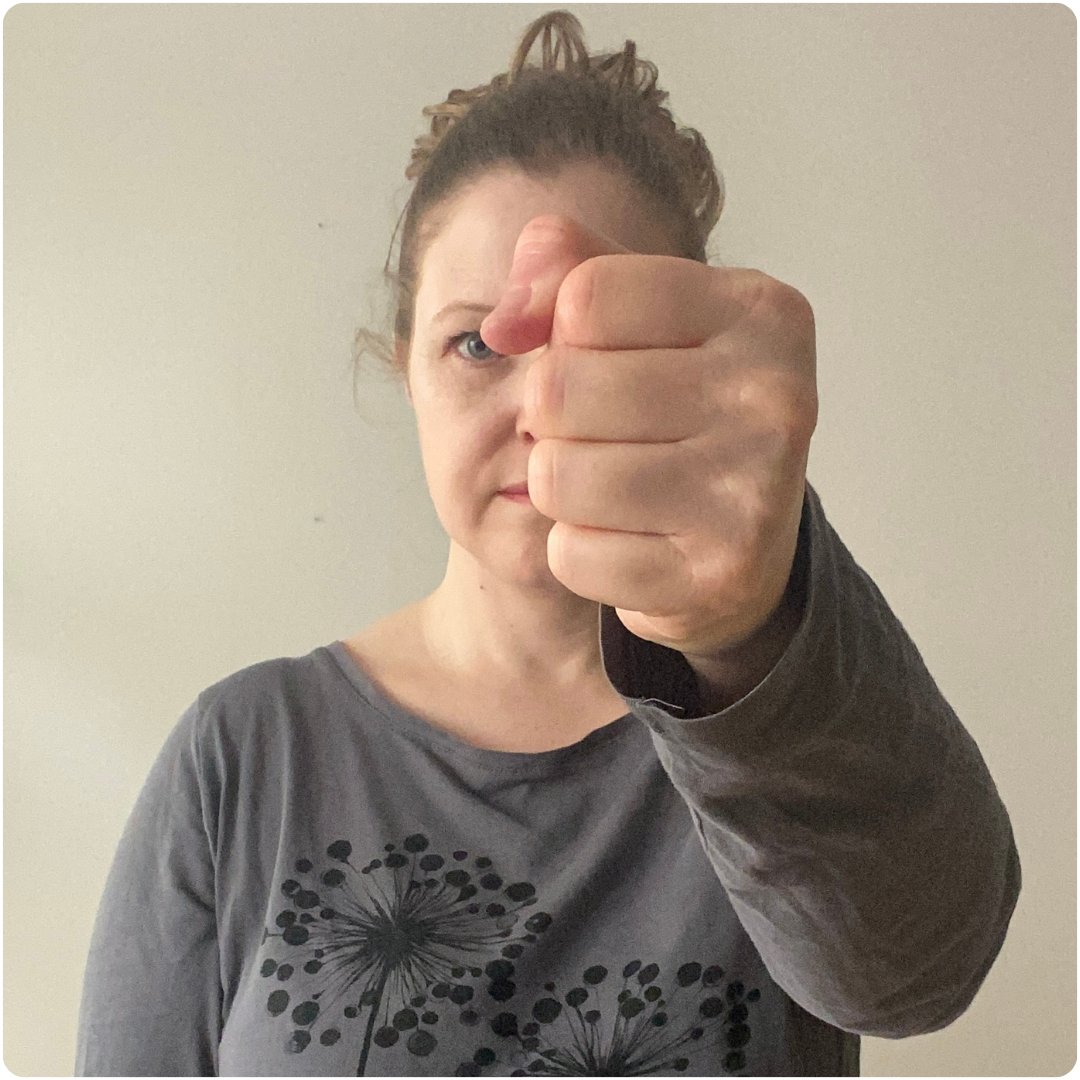 Taijiquan fist