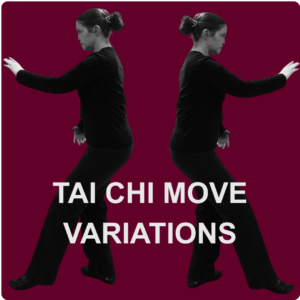 Tai Chi move variatons: Repulse Monkey